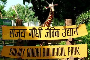 patna_zoo